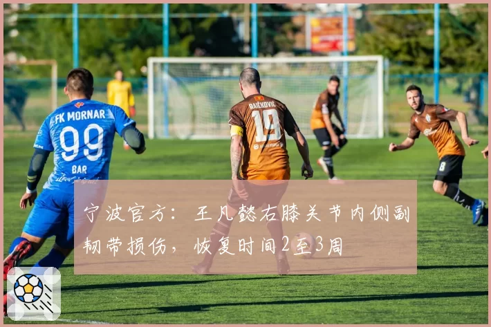 宁波官方:王凡懿右膝关节内侧副韧带损伤,恢复时间2至3周